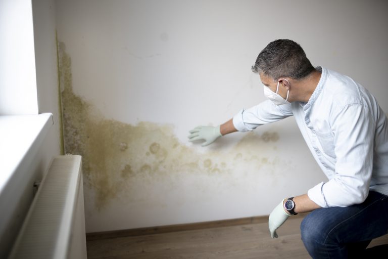 rising damp Newcastle upon Tyne